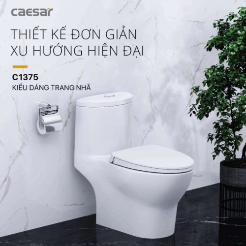 BỒN CẦU 1 KHỐI C1375 CAESAR