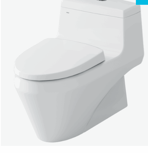 BỒN CẦU 1 KHỐI AC-1035VN INAX