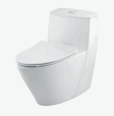 BỒN CẦU 1 KHỐI AC-919VRN INAX 2 AC 919VRN INAX