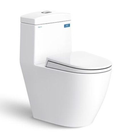 BỒN CẦU 1 KHỐI V199 VIGLACERA