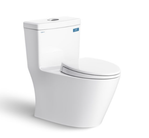 BỒN CẦU 1 KHỐI V62 VIGLACERA