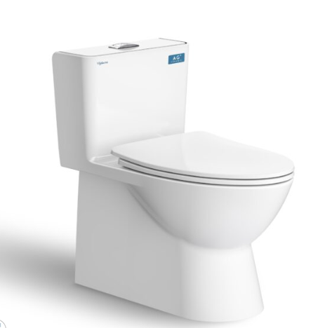 BỒN CẦU 1 KHỐI V808 VIGLACERA