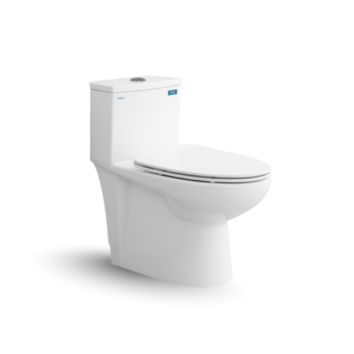 BỒN CẦU 1 KHỐI V819 VIGLACERA